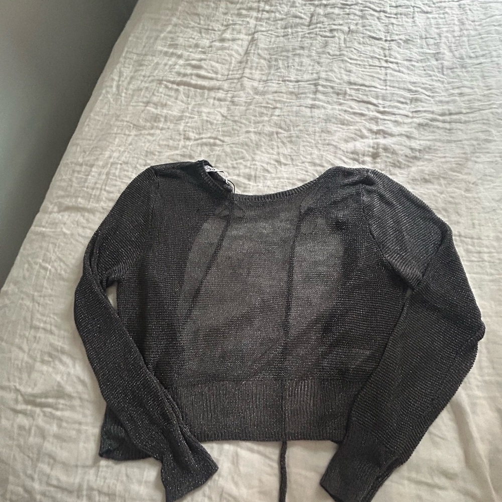 Zara Metallic Silver Sheer Knit Top